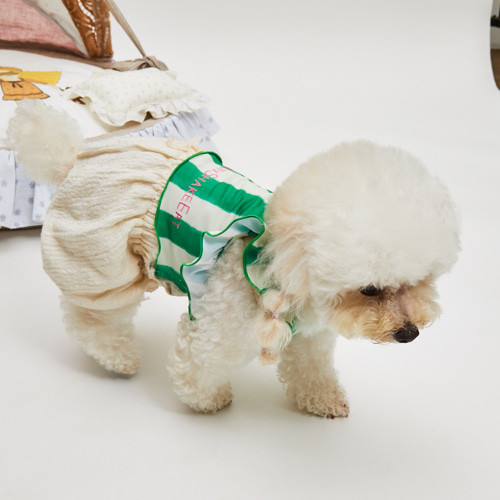 Louisdog Pool Club/Watermelon Top