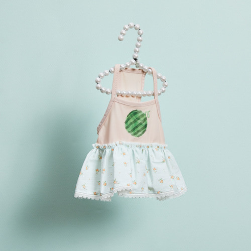 Louisdog Pool Club/Watermelon Monokini