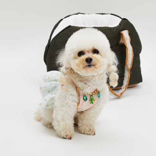 Louisdog Pool Club/Watermelon Monokini