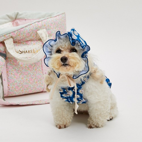 Louisdog Pool Club/Strawberry Bonnet