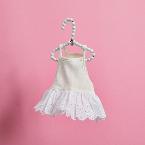 Louisdog Pool Club/Strawberry Monokini