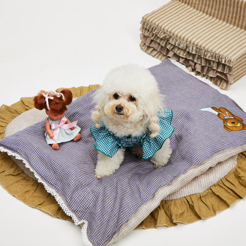 Louisdog Goose Blanket/SleepyTeddy