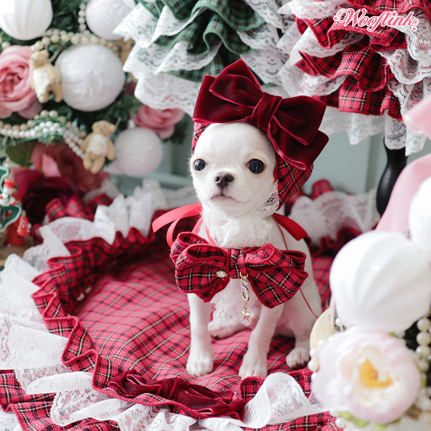 Wooflink Joy Necklace