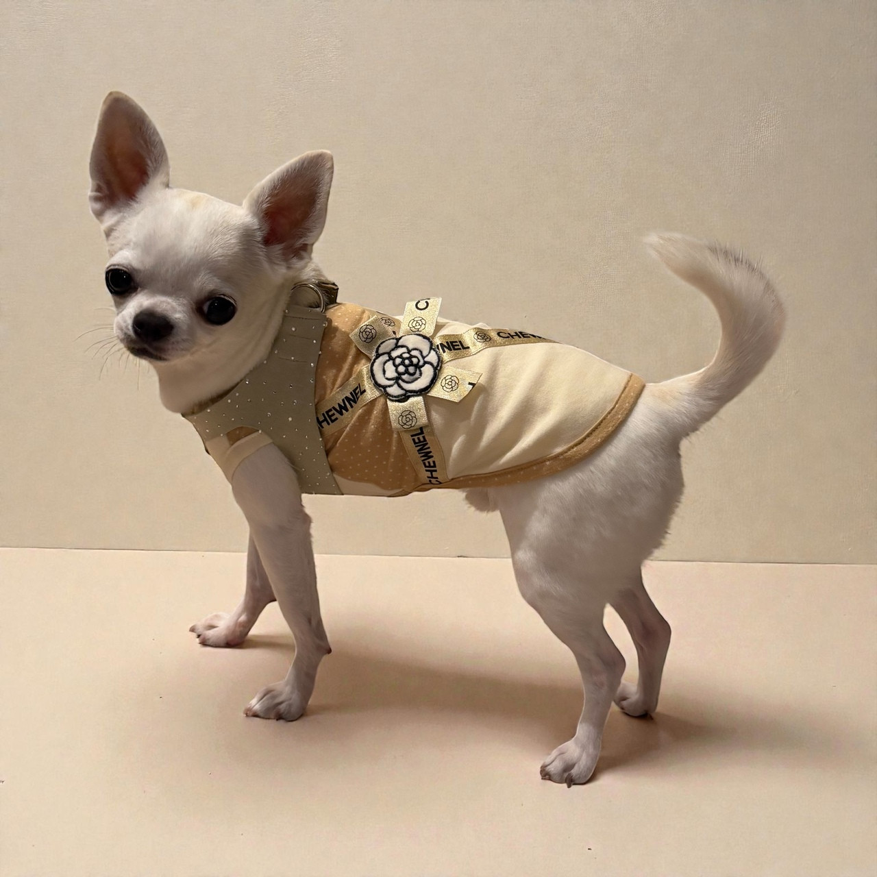 Chewnel Ruban de Chien Tank - Champagne Mist