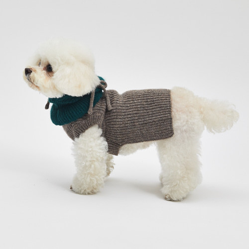 Louisdog Moss Cashmere Balaclava