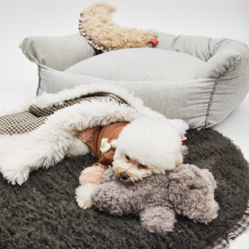 Louisdog Woolly Bear