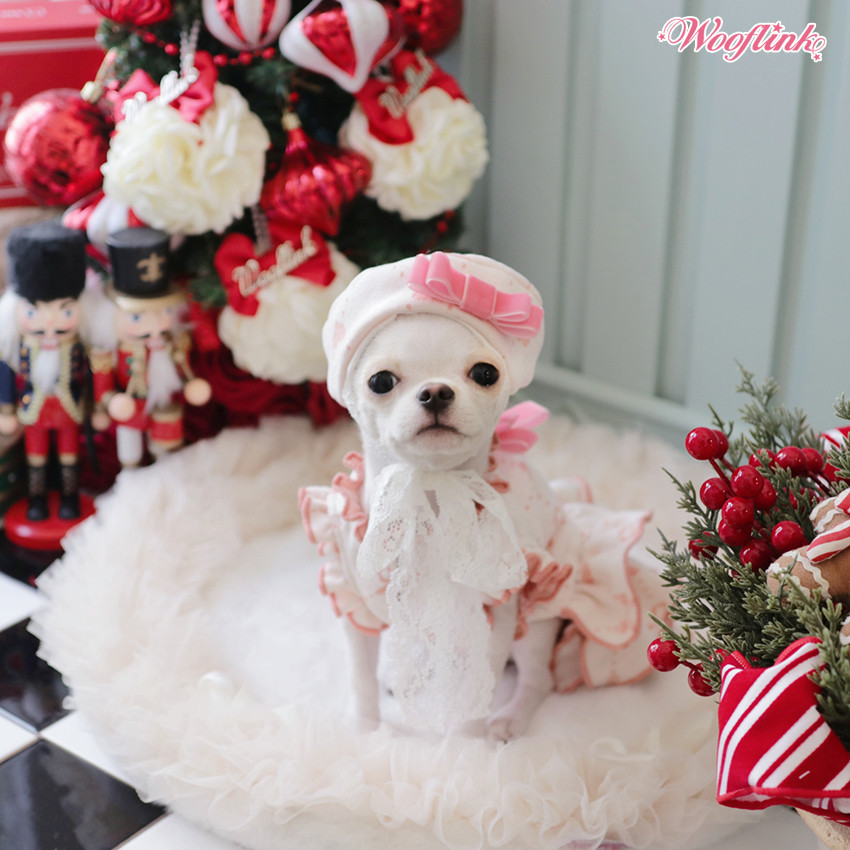 Wooflink Dear My Lady Dress