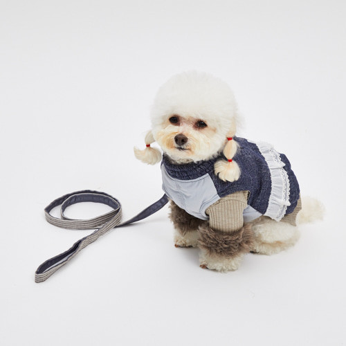 Louisdog Shanny Grey Leash