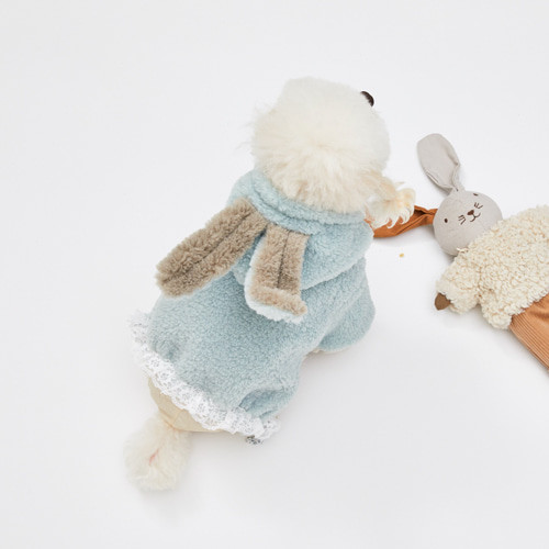 Louisdog Bunny Hoody/Mint