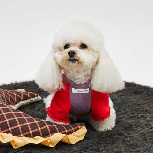 Louisdog Purple Mousse Pants