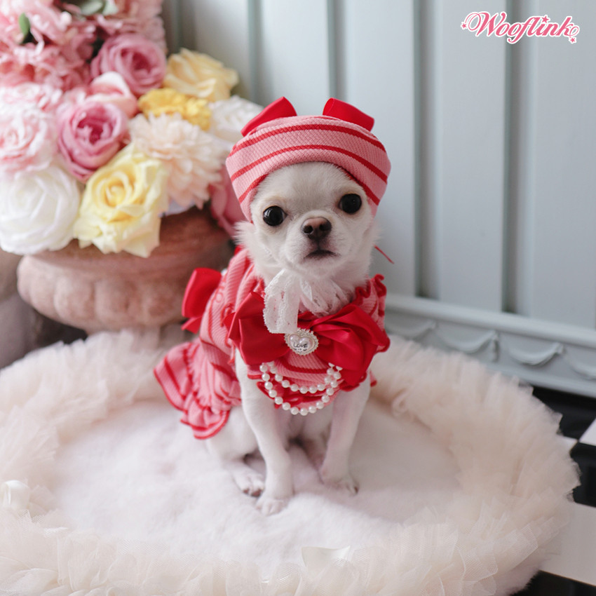 Wooflink Lollipop Beret