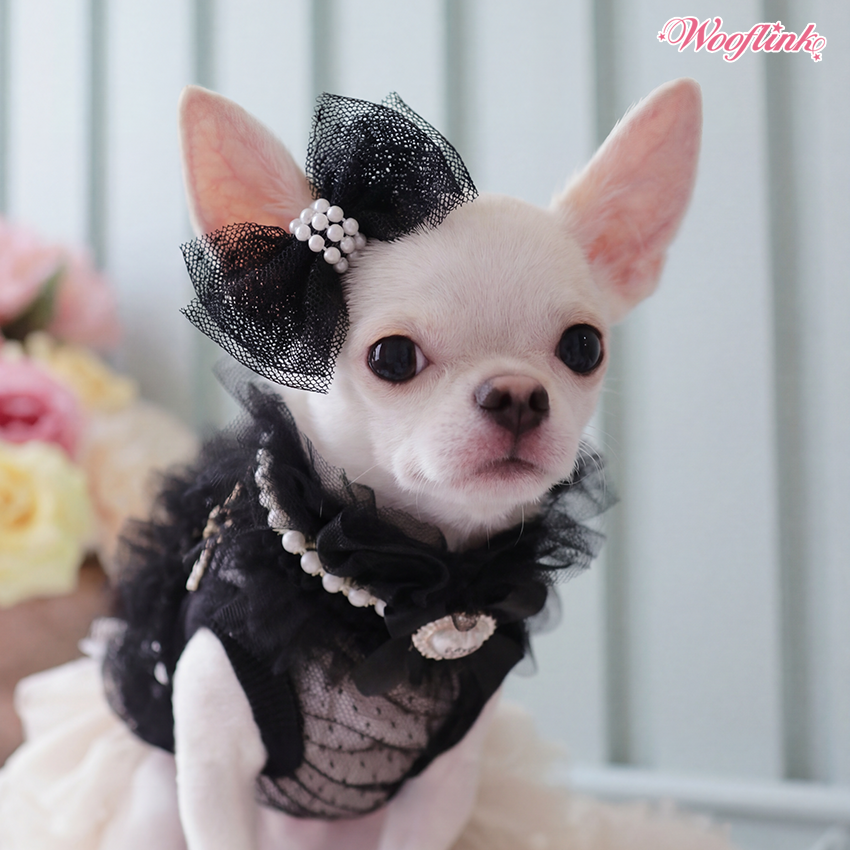 Wooflink Bloom to Breeze Hairbow