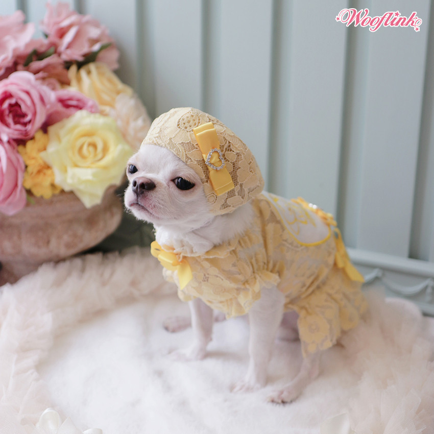 Wooflink Lovely Babe Beret