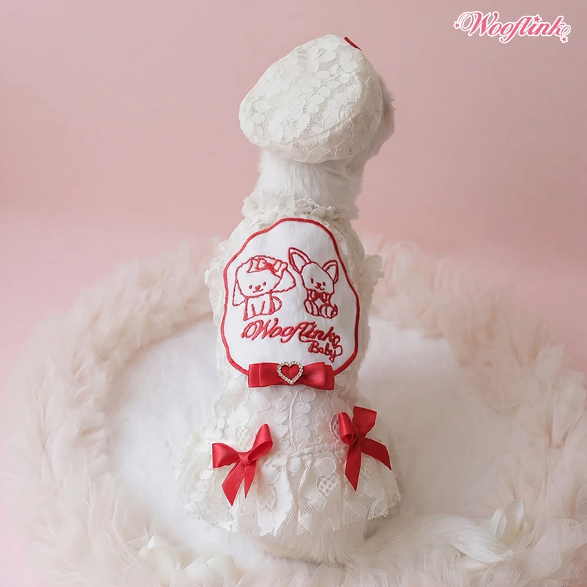 Wooflink Lovely Babe Mini Dress