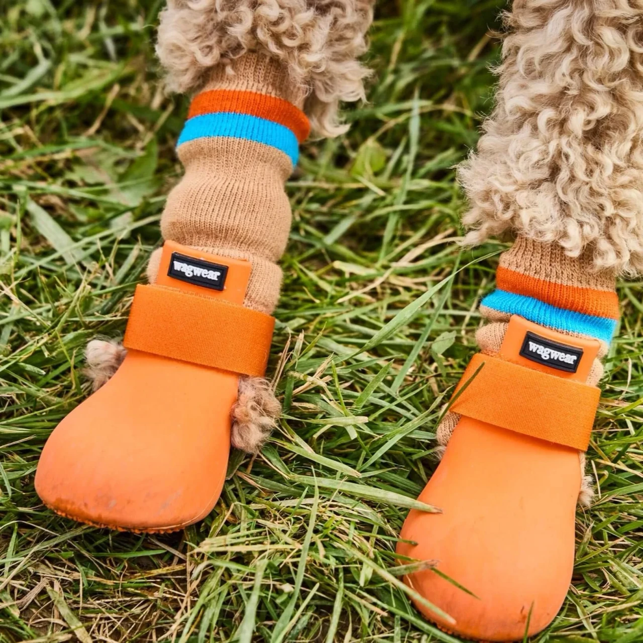 Wagwear Wagwellies Classic Dog Shoes