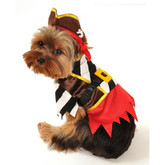 John's Top 5 Dog Halloween Costumes