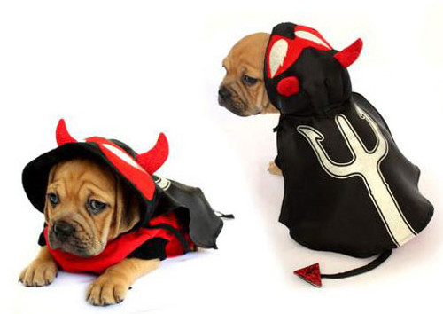 Devil Dog Costume