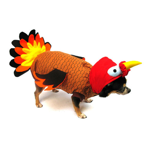 Turkey Dog Costume