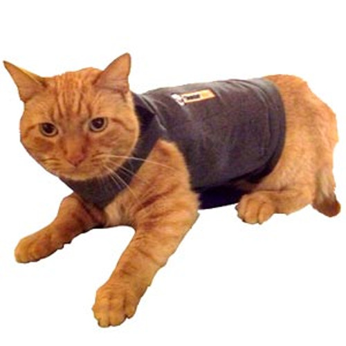 Thundershirt for Cats