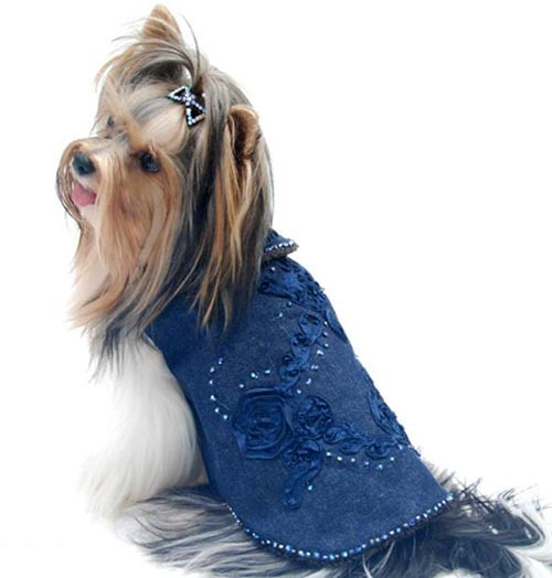 Buy High-quality Pet Dress with Fine Workmanship Chic Denim