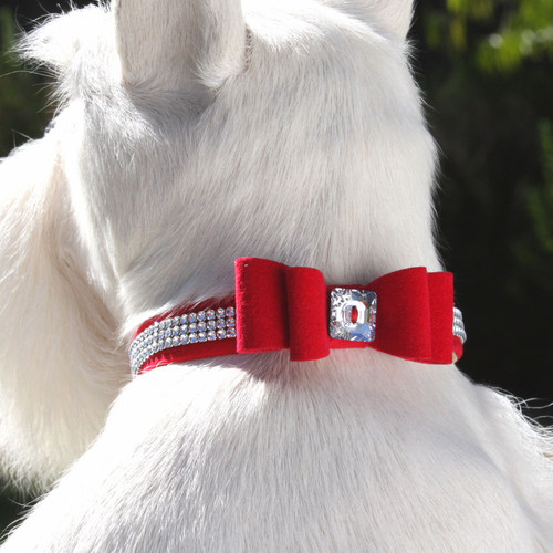 Susan Lanci Giltmore Big Bow Collar