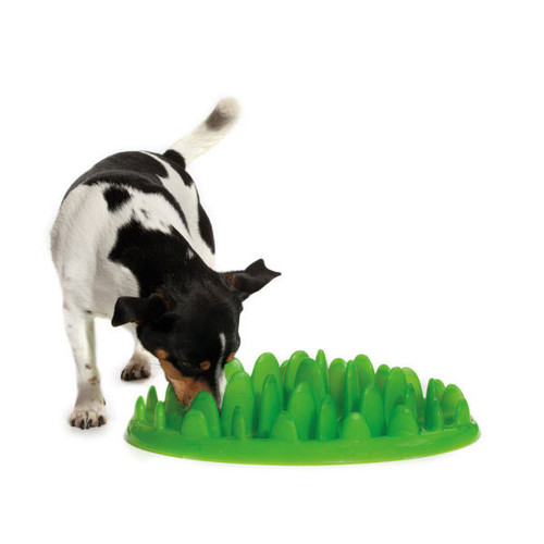 Green Interactive Slow Feeder for Dogs