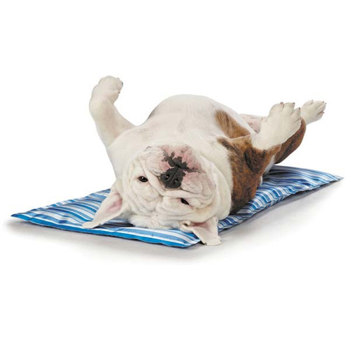 Cool Pup Mat