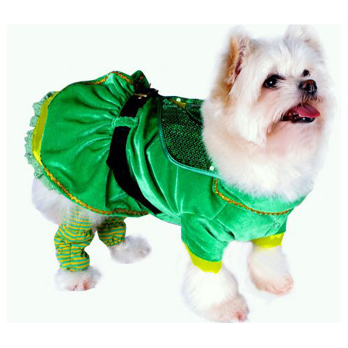 st patrick's day dog outfit