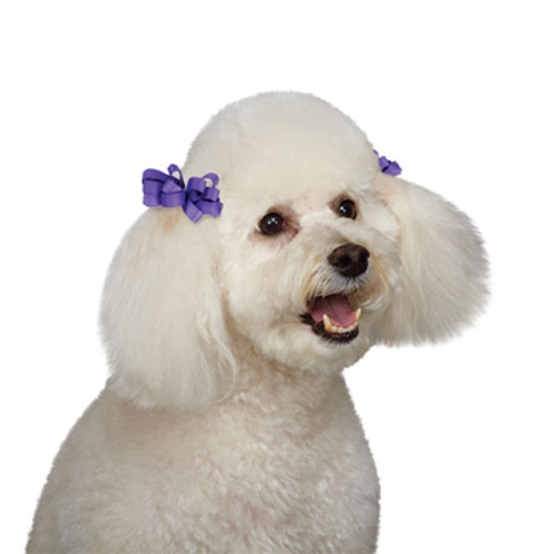 Grosgrain Dog Barrette