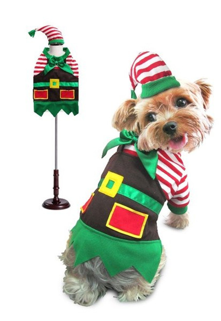 buddy elf dog costume