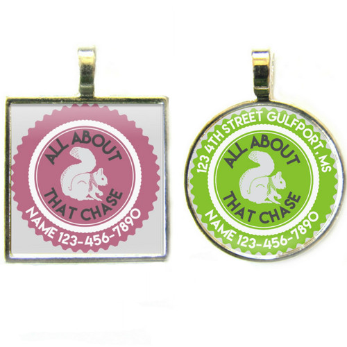 All About That Chase Silver Pet ID Tags