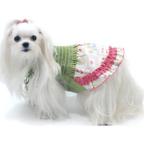 Oscar Newman Designer Dog Clothing-Day in Paradise-Bloomingtails