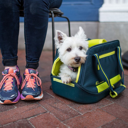 Explorer Dog Carrier