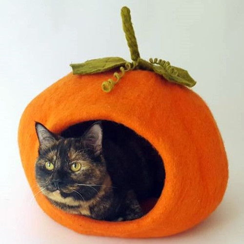 Pumpkin Felted Cat Cave