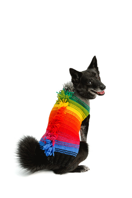Rainbow Mohawk Dog Sweater