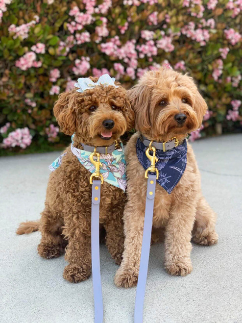 Canvas Dog Bandanas 