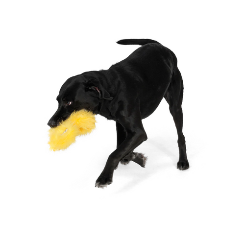 Hamilton Dog Toy