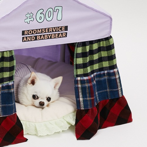 Louisdog Day to Day Peekaboo