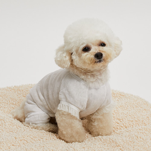 Louisdog Playful Tracksuit/White