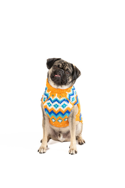 Artic Amber Dog Sweater