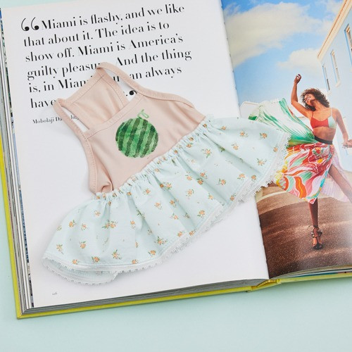 Louisdog Pool Club/Watermelon Monokini