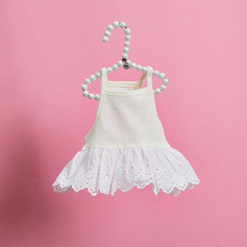 Louisdog Pool Club/Strawberry Monokini