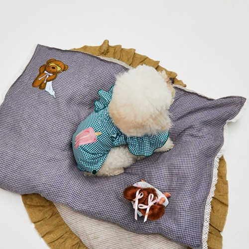 Louisdog Goose Blanket/SleepyTeddy