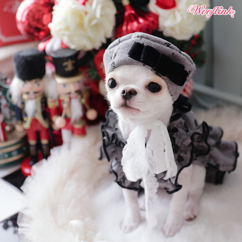 Wooflink Dear My Lady Beret