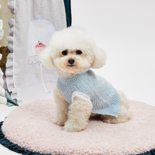 Louisdog Cash Sky Vest