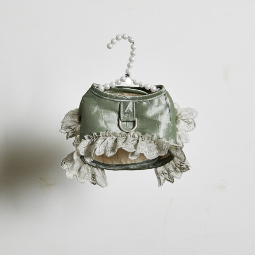 Louisdog Walk With Me/Silky Green