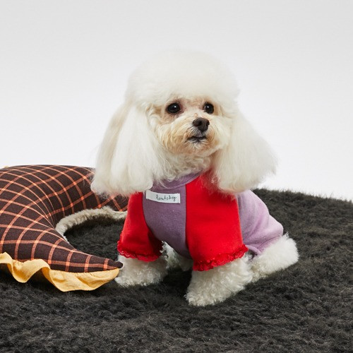 Louisdog | Dog Beds | Dog Clothes | Dog Carriers