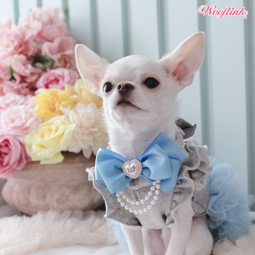 Wooflink Candyfloss Dream Dress
