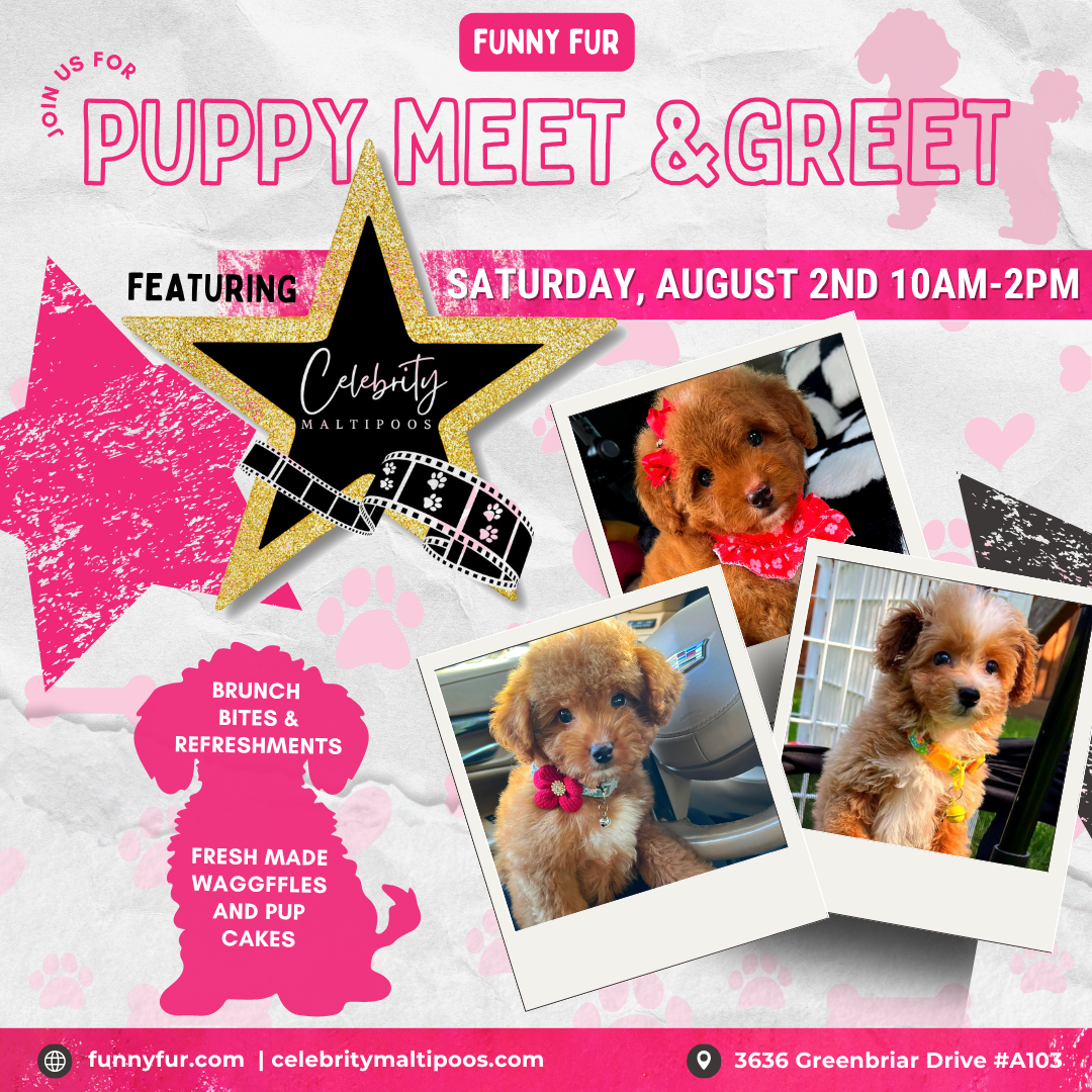 Puppy Love is in the Air: Join us for a Meet + Greet at Funny Fur!