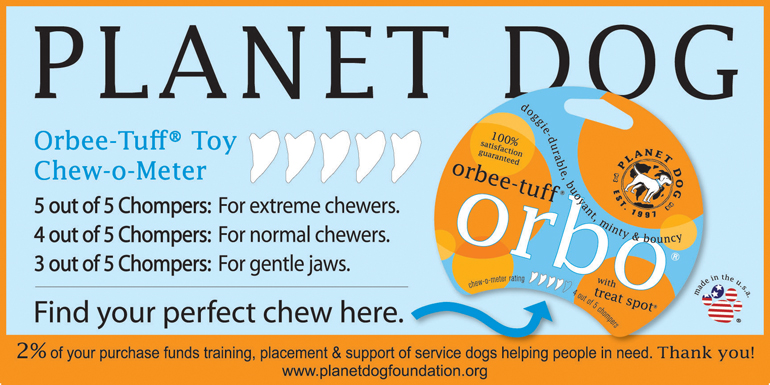 Planet Dog Orbee-Tuff Guru Dog Toy Blue